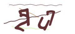 Identifying code
