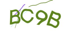 Identifying code