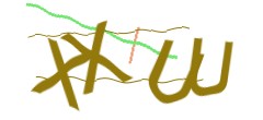 Identifying code