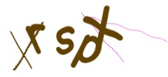 Identifying code
