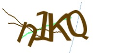 Identifying code