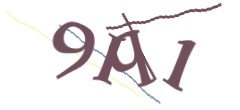 Identifying code