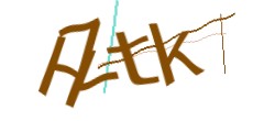 Identifying code