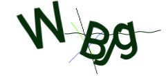 Identifying code