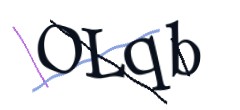 Identifying code