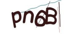 Identifying code