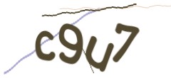 Identifying code