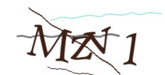 Identifying code