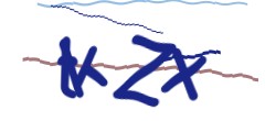 Identifying code