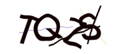 Identifying code