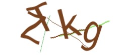 Identifying code