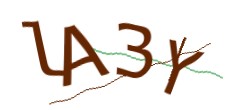 Identifying code