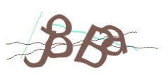 Identifying code
