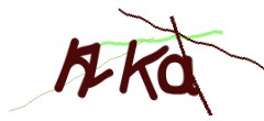 Identifying code