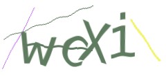 Identifying code