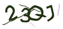 Identifying code