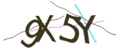 Identifying code