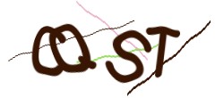 Identifying code