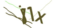 Identifying code