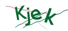 Identifying code