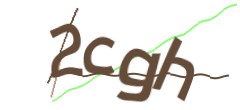 Identifying code