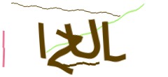 Identifying code