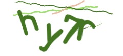Identifying code