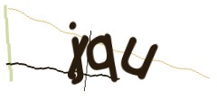 Identifying code