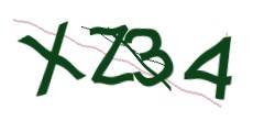 Identifying code