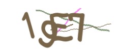 Identifying code