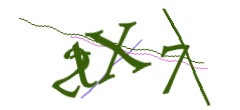 Identifying code