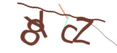 Identifying code