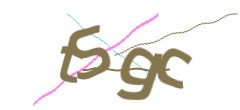 Identifying code