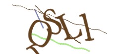 Identifying code