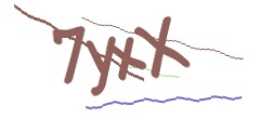 Identifying code