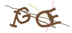 Identifying code