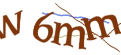 Identifying code