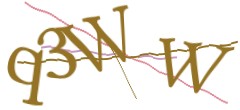Identifying code